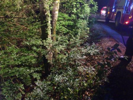  Fotografiji iz današnjega požara, posnete z GSM aparatom (Foto PGD Stična) 2